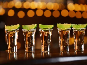 Shotlar